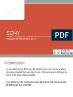 6.2 Sony PDF