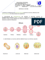 BIOLOGIA MITOSE 