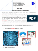 Biologia Bacterias