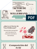 Factor Van Willbrand - Eq3