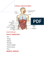 Sistema Digestório - Anato