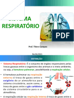 Aula 06 - Sistema Respiratório