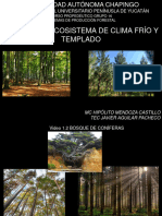 Los Bosques - Ecosistema de Clima Frío y Templado