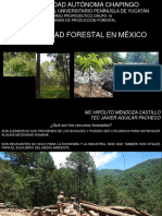 La Actividad Forestal en México-23