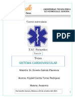 Anatomia Tarea 4