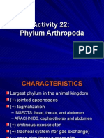 Activity 22_ppt Phylum Arthropod A