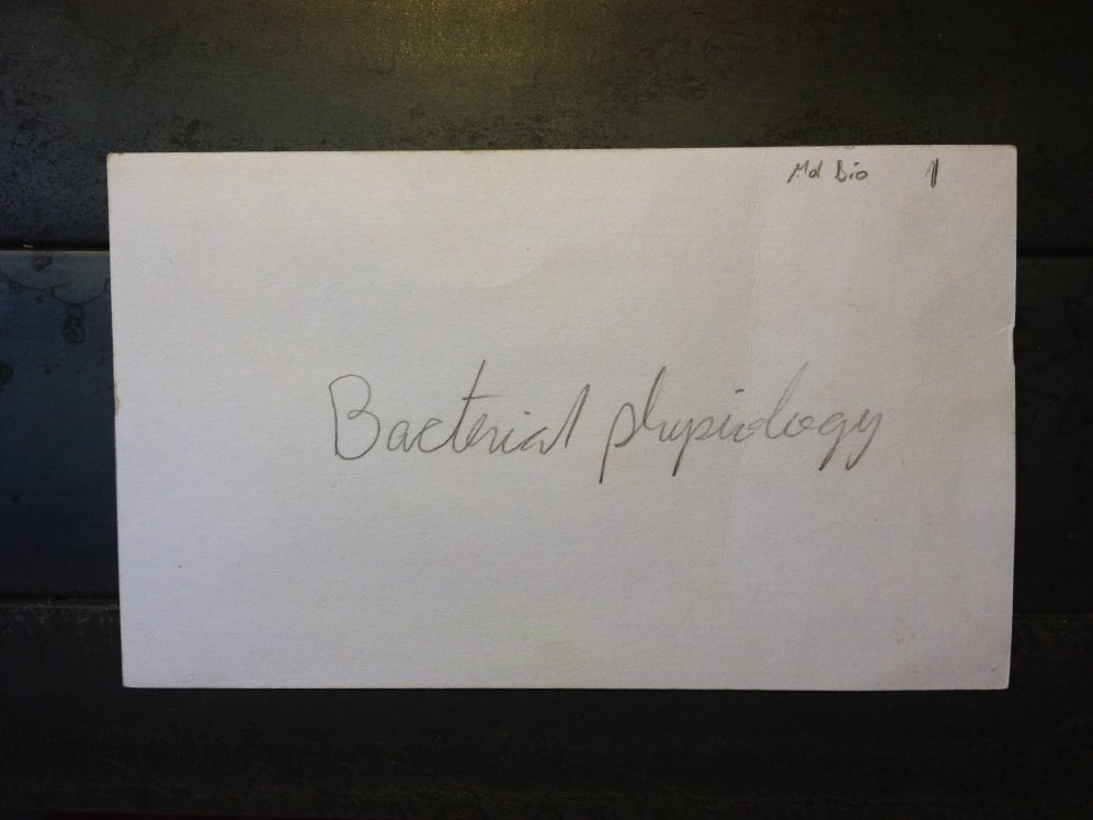 Molecular Biology Flashcards PDF Science Biology