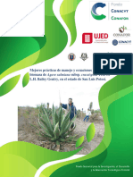 2021 Mejores Practicas de Agave Salmiana Crasspiana