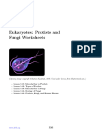 CK-12 Biology Chapter 14 Worksheets[1]