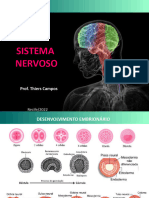 Aula 10- Sistema Nervoso