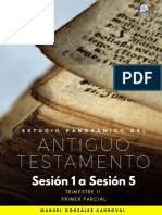 Estudio Panorámico del Antiguo Testamento