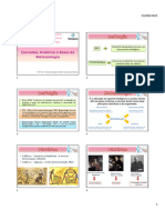 Aula_01_Biotecnologia_-_Conceitos_J_Histo_rico_e_Base_da_Biotecnologia