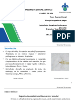 Presentación Examen Oral_MIP_CRISTOPHER TOVAR CARAMON