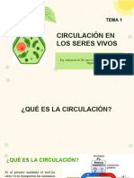 Tema 1 - Circulación en Los Seres Vivos