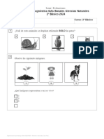 prueba-diagnostica-oas-basales-ciencias-naturales-2o-basico-2024