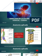 COLUMNA CERVICAL (2)