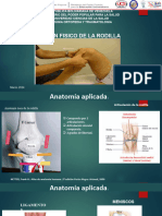 Examen de La Rodila