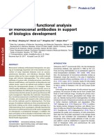 Ab - Molecular and Functional Analysis of Monoclonal Antibodies in Support of Biologics Development
