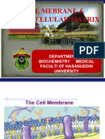 Membran Sel Dan Matriks Ekstraselular