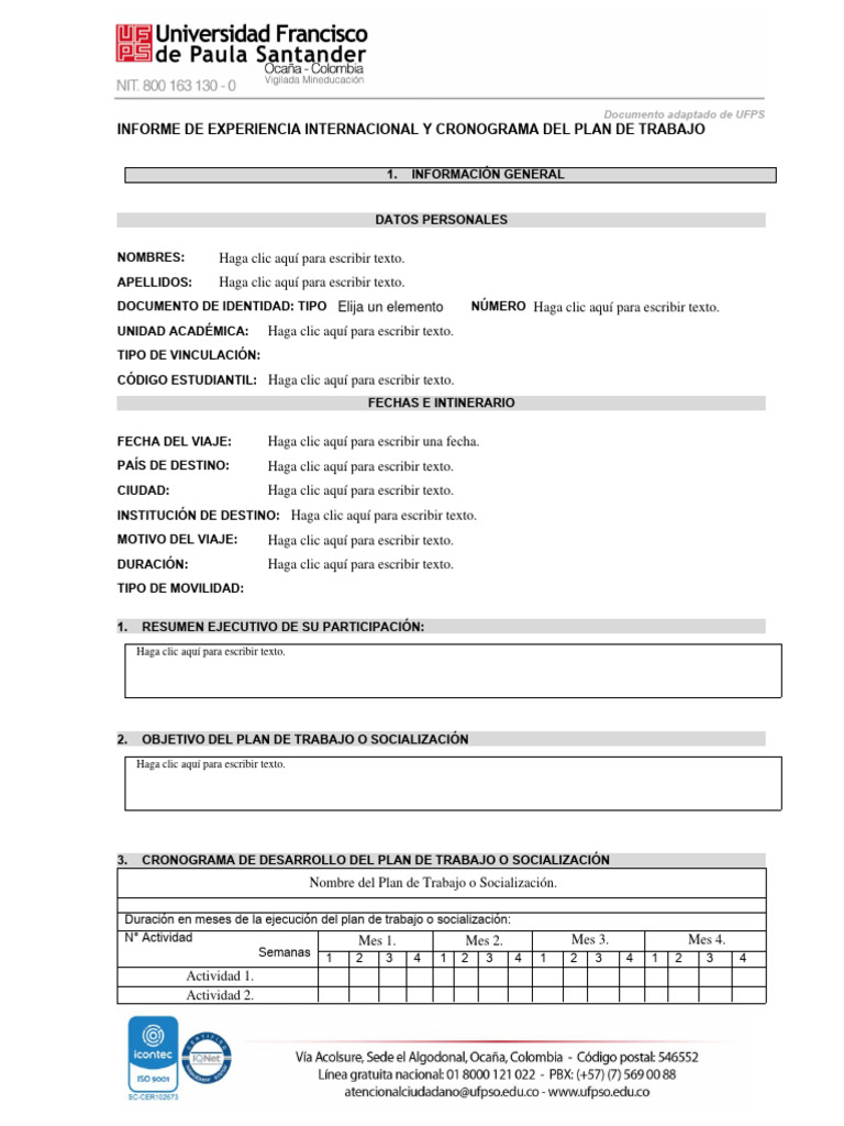 Plantilla informe experiencia internacional y cronograma del plan de