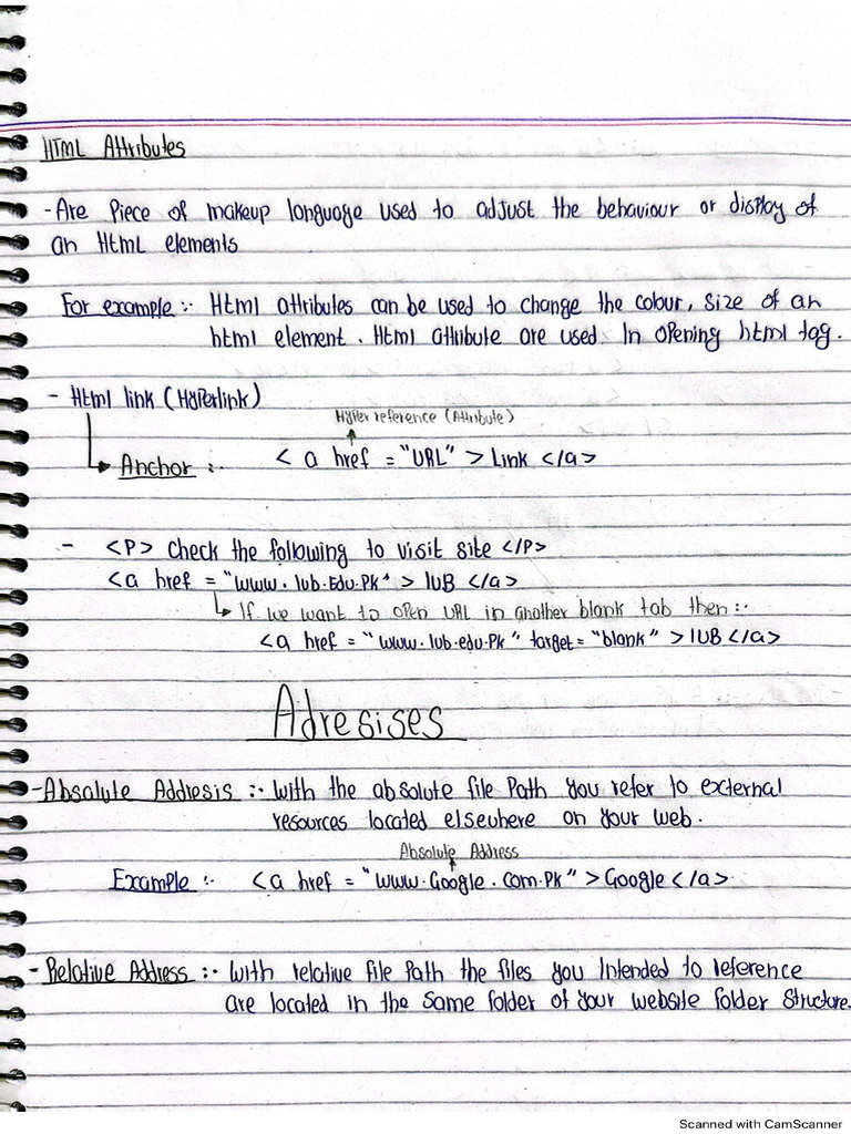 Web Development Basic Notes | PDF