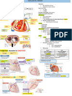 Resumenes de Fisio I PDF