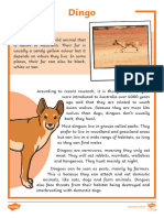 Au T 10000759 Dingo Fact File - Ver - 2