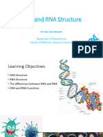 DNA and RNA Structure