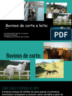 Bovinos de Corte e Leite