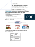 ALIMENTACIÓN Y NUTRICIÓN 5 DE OCTUBRE