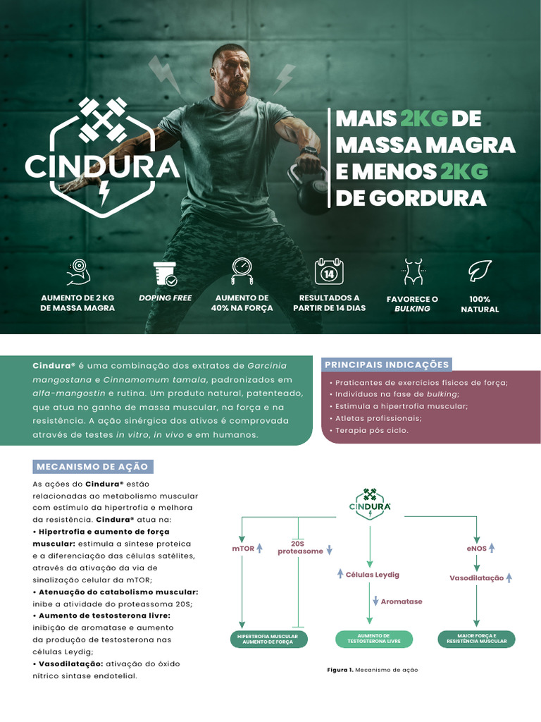 Lamina CINDURA Sovita | PDF | Testosterona | Biologia