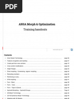 HANDOUTS Morph&Optimization