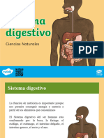 Sistema Digestivo 3°