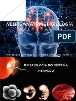 Neuro_AF_-EMBRIOLOGIA_SN