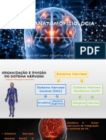 NEUROANATOMOFISIOLOGIA_-_Organiza__o_e_divis_o_do_SN