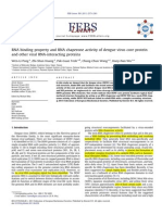 RNA Binding Property and RNA Chaperone Activity of Dengue Virus Core Protein and Other Viral RNA-Interacting Proteins