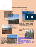 Infografia Ecocistema Biodiverso Desierto Guajira