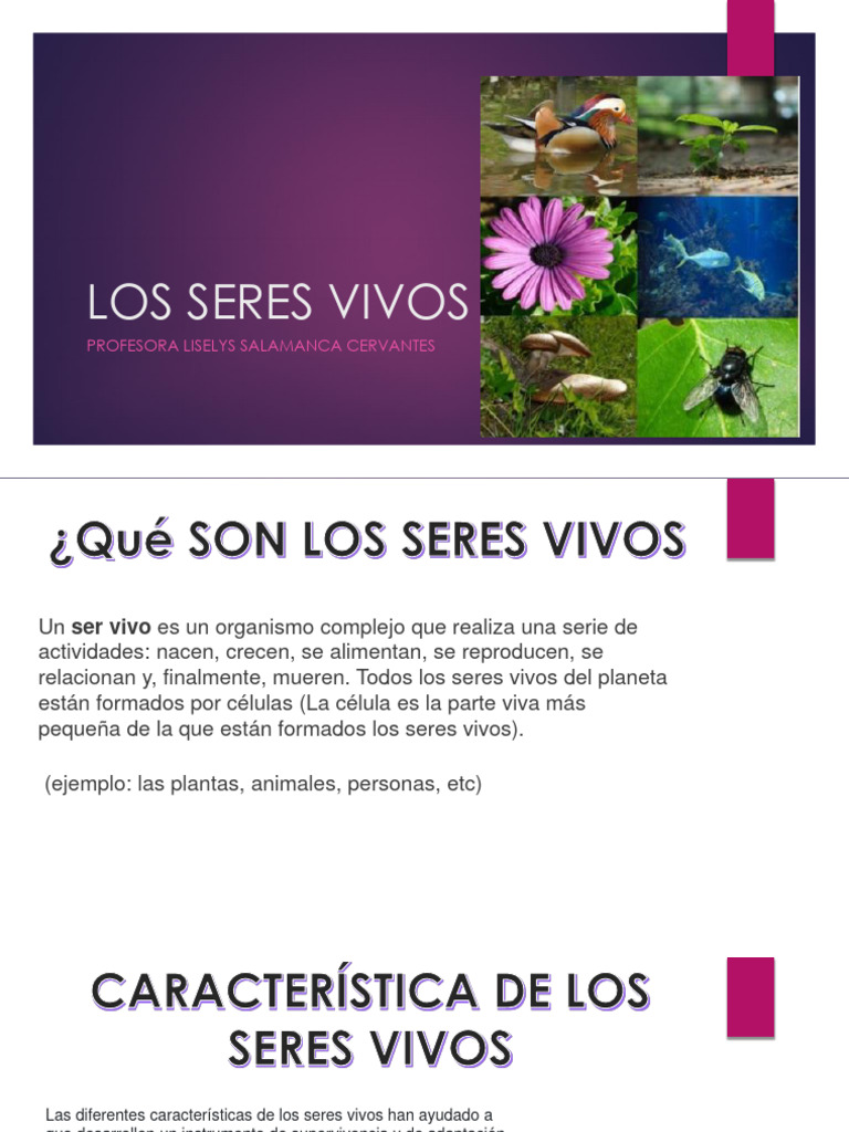 Los Seres Vivos | Descargar gratis PDF | Organismos | Biología Celular)