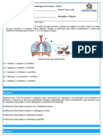 Sistema Respirátorio 4