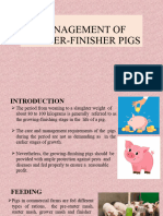 Management of Grower-Finisher Pigs