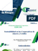 13 - 1 Estrategias para La Sostenibilidad de Las Cooperativas