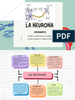 LA NEURONA.-