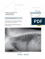 Cirugia en La Clinica de Pequen - El Aparato Digestivo PDF