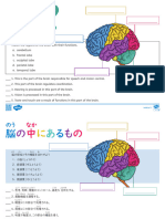 Whats in Your Brain Dual Language Worksheet - Ver - 2