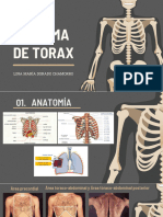 Trauma de Torax PDF