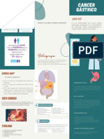 Folleto - Cancer Gástrico