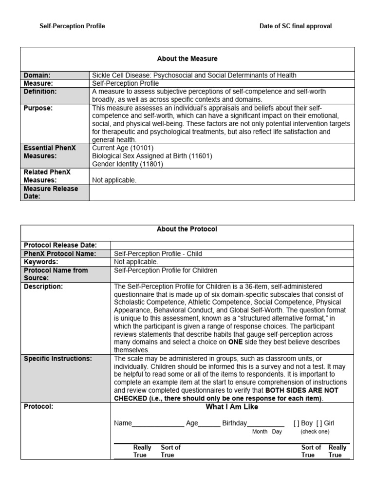 SI 4a Self Perception Child | PDF | Self Esteem | Social Psychology