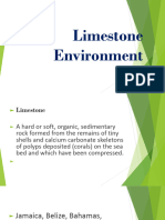 Limestone Environment