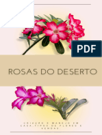 Rosas Do Deserto Ebook - 20240119 - 111206 - 0000