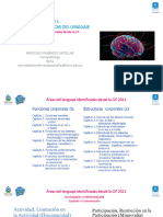 Áreas del lenguaje identificadas desde la CIF (1)